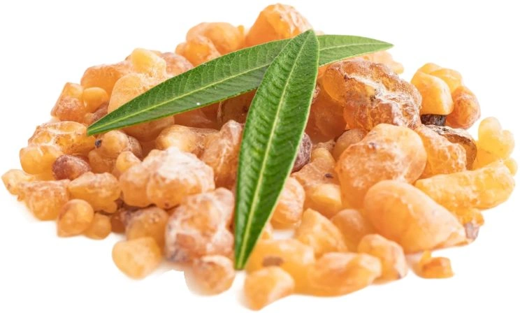 Lymph tonic Boswellia Serrata Extract