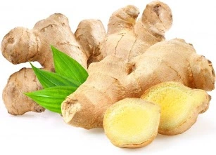 lymph tonic Ginger (Standardized Extract)