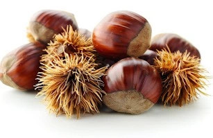 lymph tonic Horse Chestnut Extract