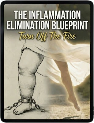 lymph tonic bonus The Inflammation Elimination Blueprint